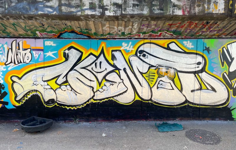 Minto, M32 Cycle path, Bristol, April 2024