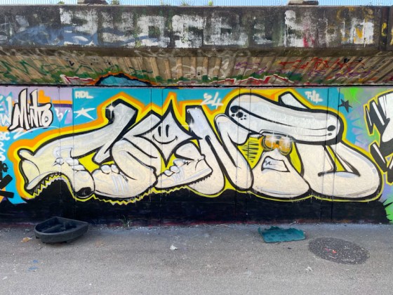Minto, M32 Cycle path, Bristol, April 2024