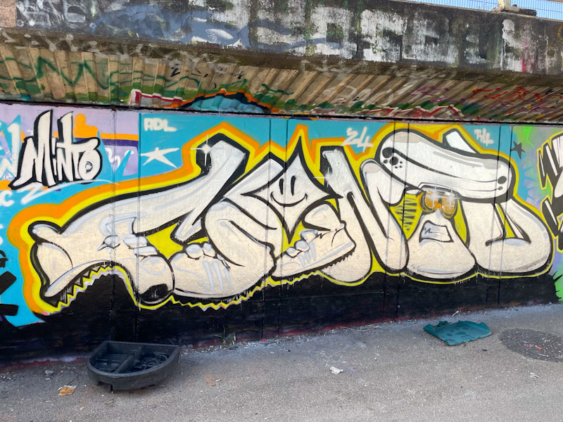 Minto, M32 Cycle path, Bristol, April 2024