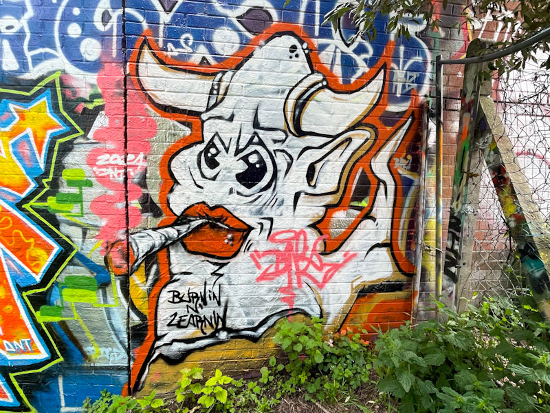 DNT, Montpelier Park, Bristol, May 2024