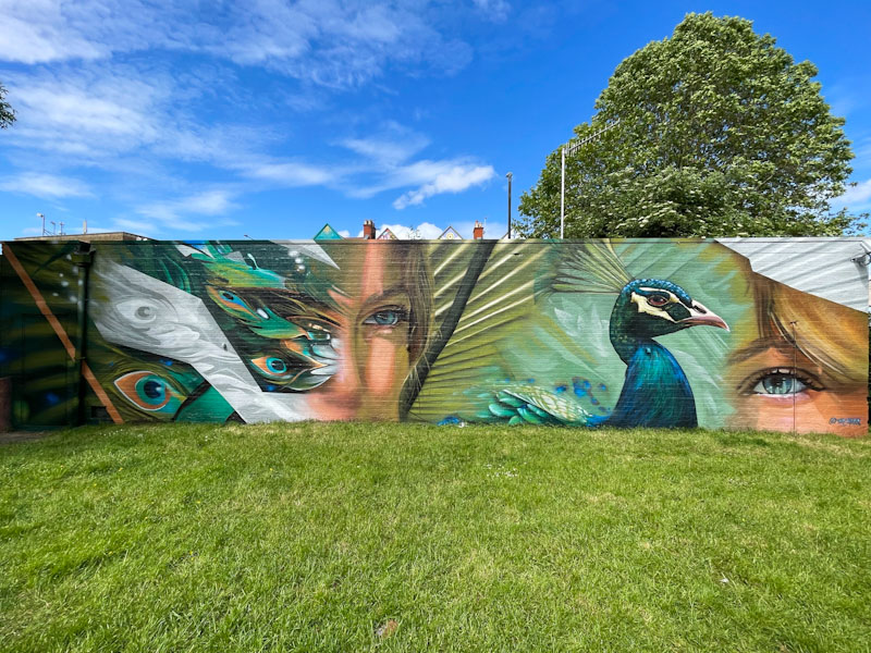 The Hass, North Street Green, Upfest 24, Bristol, May 2024