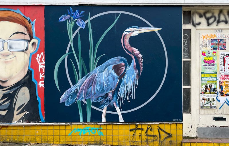 6057. Upfest 2024&nbsp;(6)