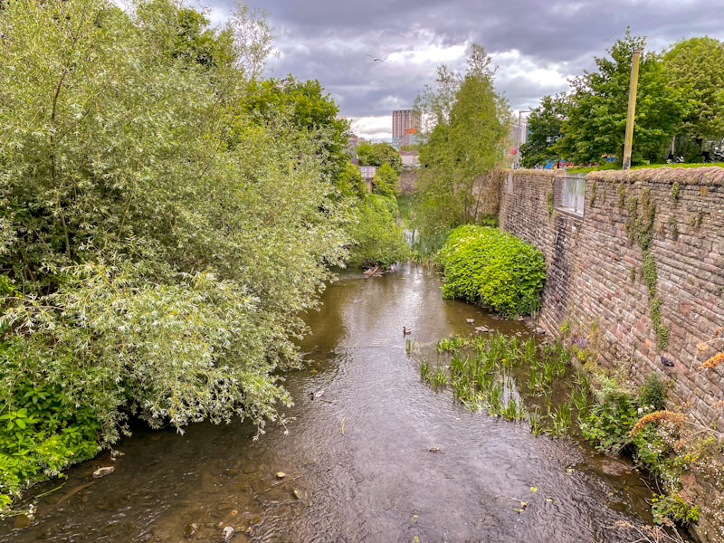 River Frome, Bristol, June 2024