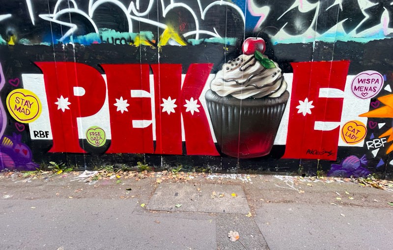 Pekoe and Jody, M32 roundabout, Bristol, June 2024