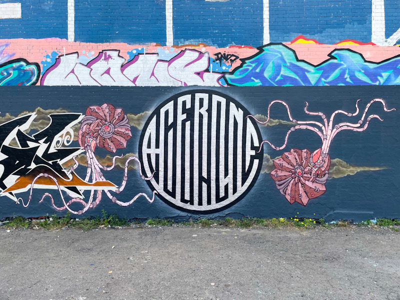 Andy Council and Acer One, Dean Lane, Bristol, June 2024