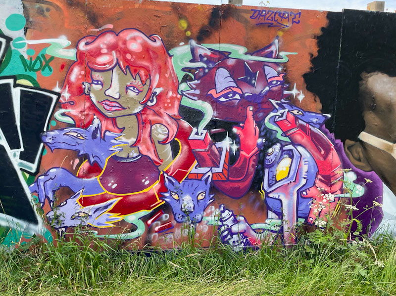 Daz Cat, Greenbank, Bristol, July 2024