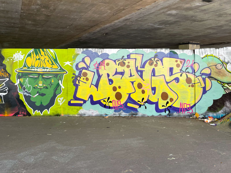 Minto and Bags, M32 Spot, Bristol, July 2024