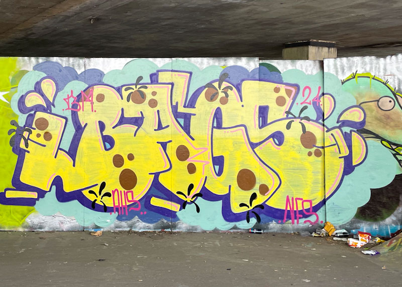 Bags, M32 Spot, Bristol, July 2024
