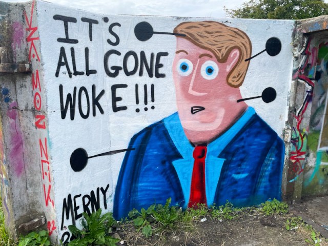 Merny, Purdown, Bristol July 2024