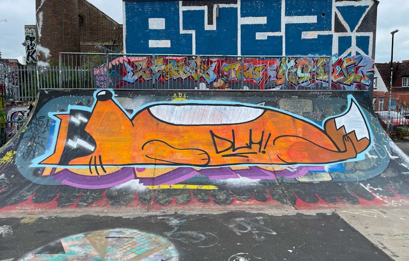 6256. Dean Lane skate park&nbsp;(737)