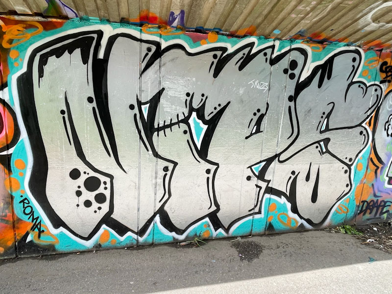 Nips, M32 Cycle path, Bristol, July 2024