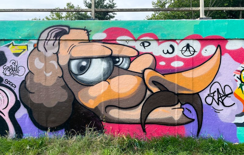 Zake, M32 roundabout, Bristol, July 2024