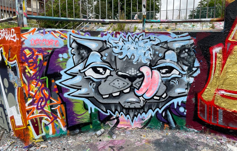 6269. Dean Lane skate park&nbsp;(739)