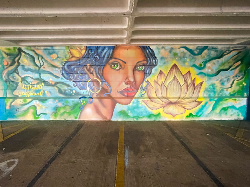 Apparan, Cheltenham Paint Festival 2024, East car park, Cheltenham, July 2024