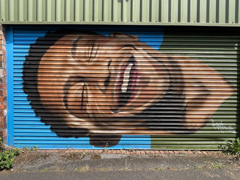 Mind 49, Muriel Alleyway, Bristol, August, 2024