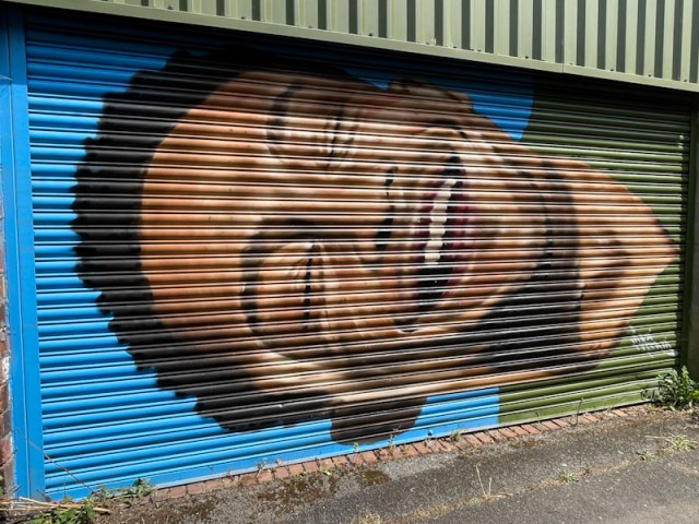 Mind 49, Muriel Alleyway, Bristol, August, 2024