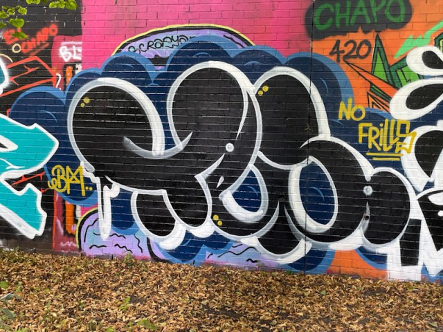 Slim Pickings (Tes), Sparke Evans Park, Bristol, August 2024