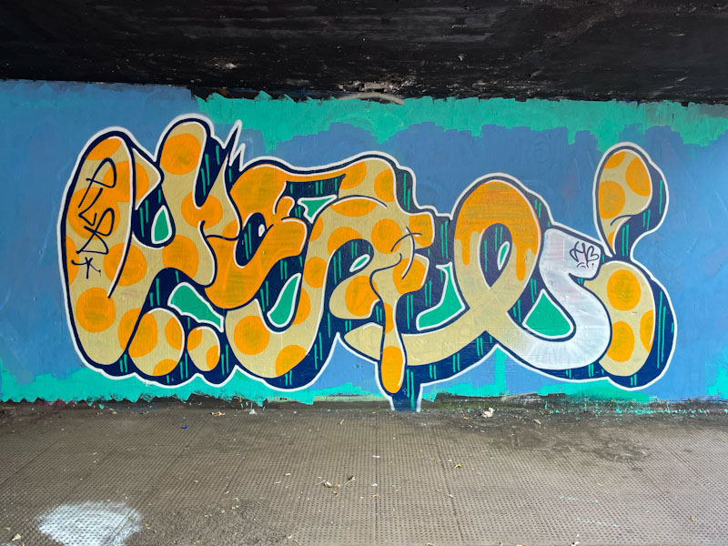 Whysayit, New Stadium Road, Bristol, August 2024