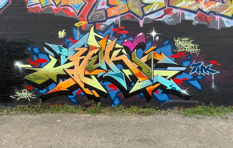 6349. Dean Lane skate park&nbsp;(746)