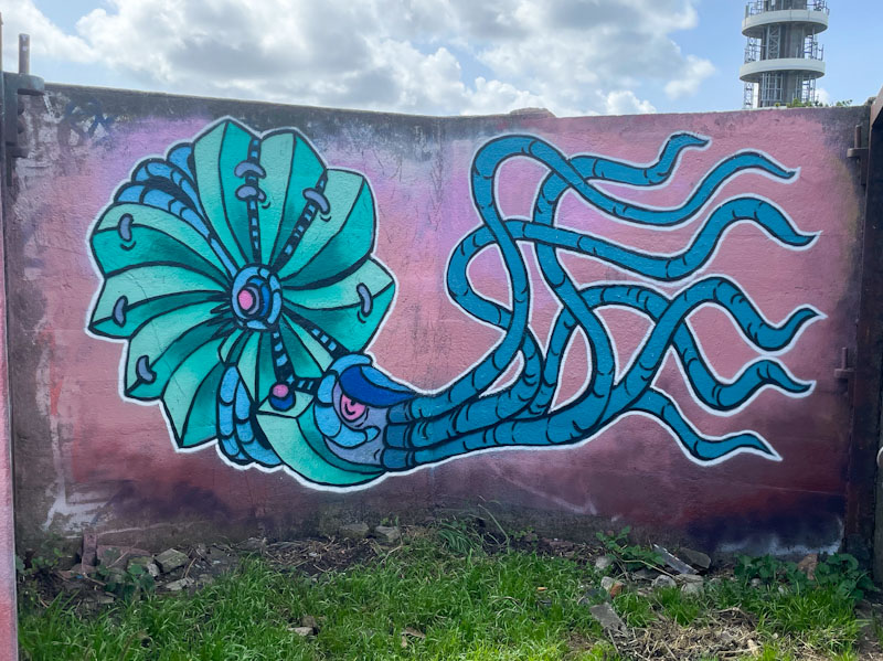 Andy Council, Purdown, Bristol, August 2024