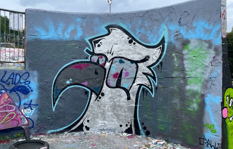 6417. Dean Lane skate park&nbsp;(763)