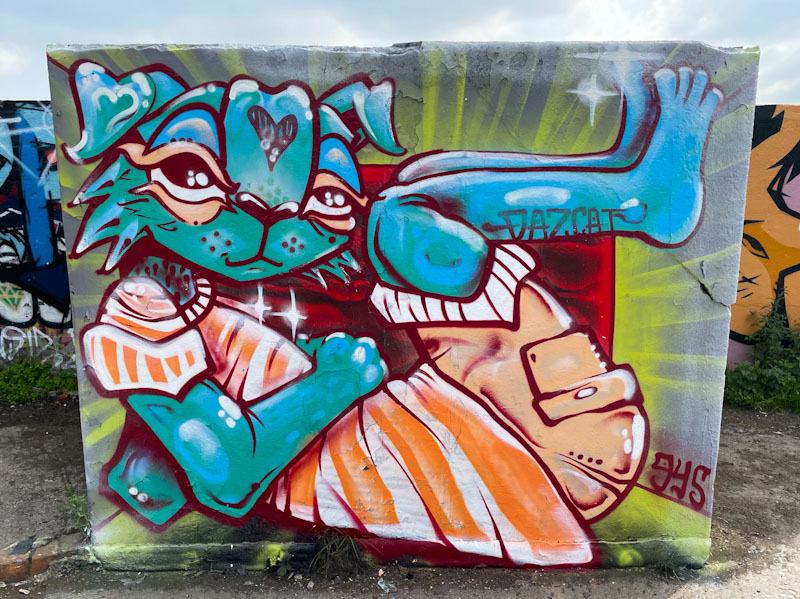 Daz Cat, Purdown, Bristol, September 2024