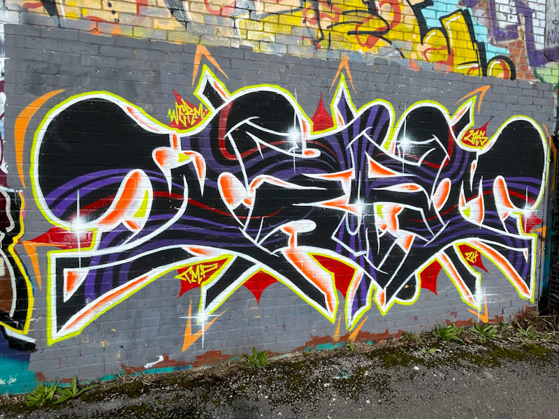 Werm, River Avon, Bristol, September 2024