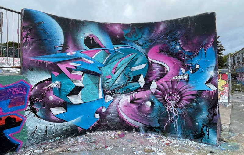 6441. Dean Lane skate park&nbsp;(768)