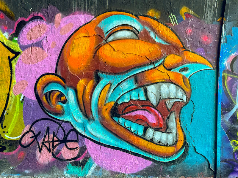 Zake, St Werburghs, Bristol, October 2024