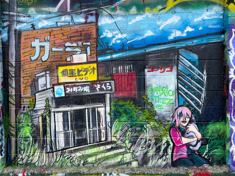 Conrico, M32 Cycle path, Bristol, October 2024