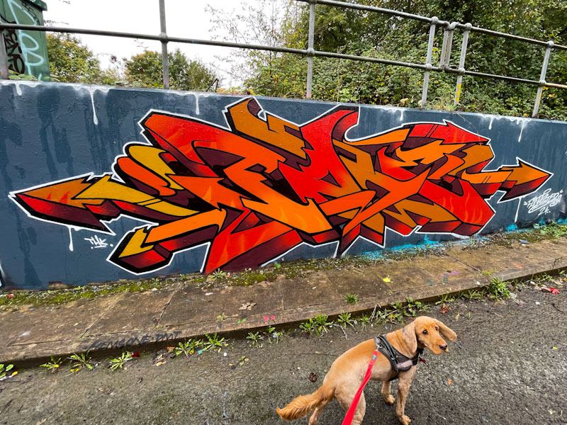 Fade, L Dub, Bristol, October 2024