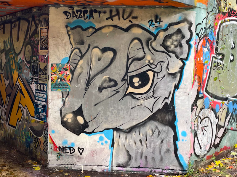 Daz Cat, M32 roundabout, Bristol, October 2024