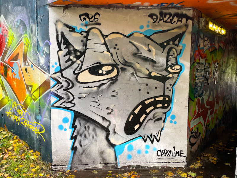 Daz Cat, M32 roundabout, Bristol, October 2024