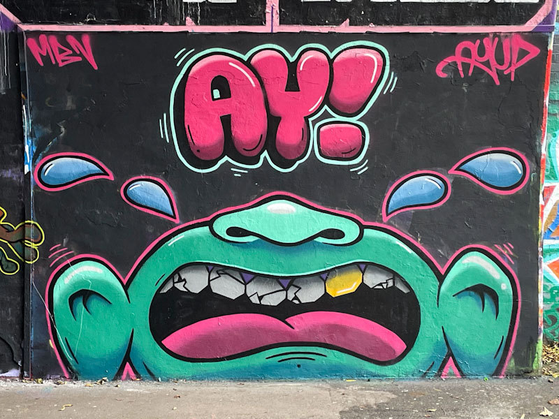 Ayup, St Werburghs, Bristol, October 2024