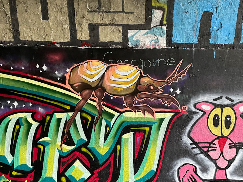 Dun Sum, St Werburghs, Bristol, October 2024