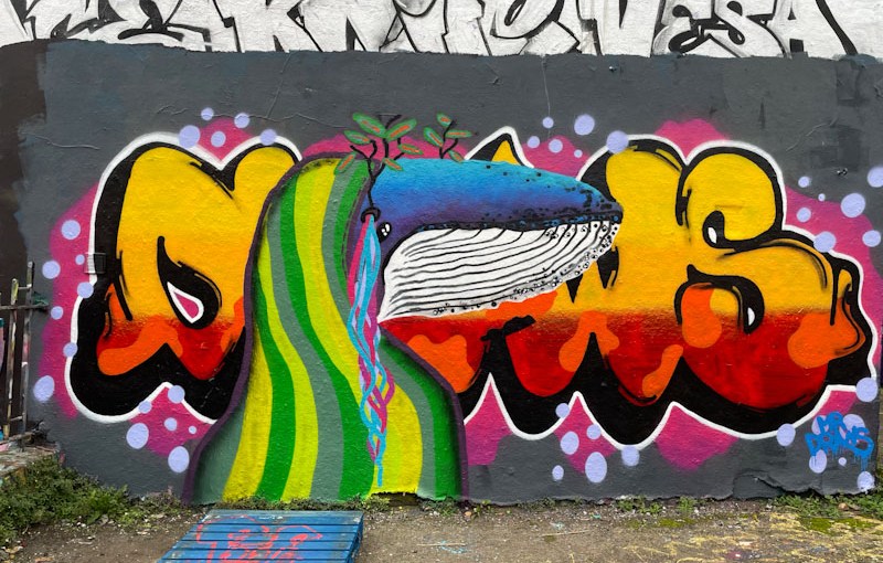 6513. Dean Lane skate park&nbsp;(776)