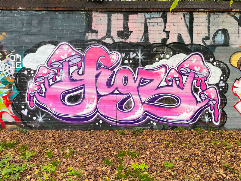 Figzzz, Sparke Evans Park, Bristol, November 2024