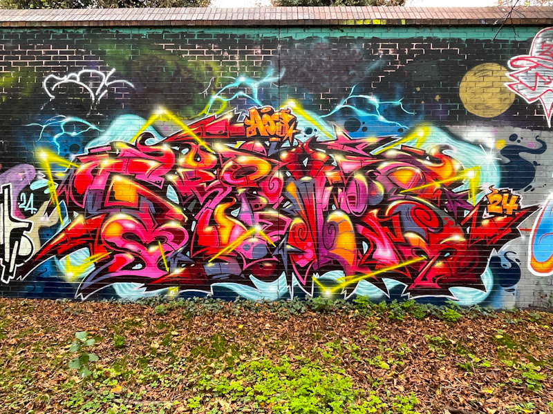 Grimes, Sparke Evans Park, Bristol, November 2024