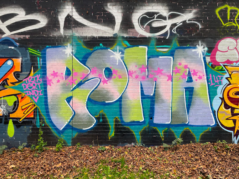 Roma, Sparke Evans Park, Bristol, November 2024
