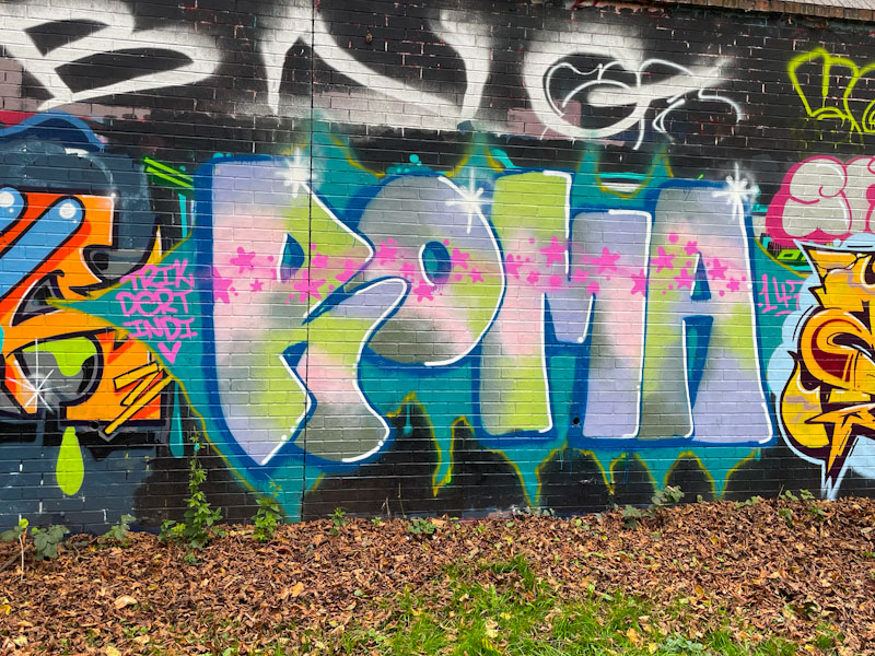 Roma, Sparke Evans Park, Bristol, November 2024