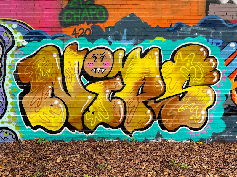 Nips, Sparke Evans Park, Bristol, November 2024