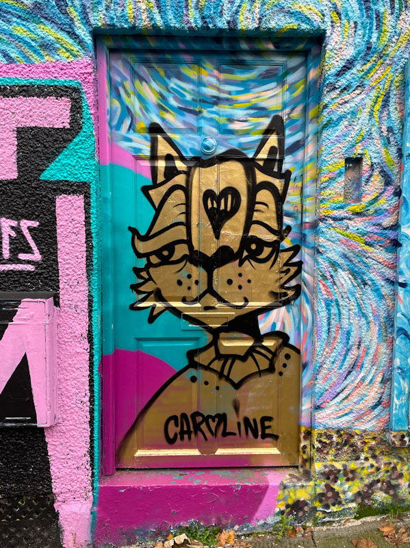 Daz Cat, Nine Tree Hill, Bristol, November 2024