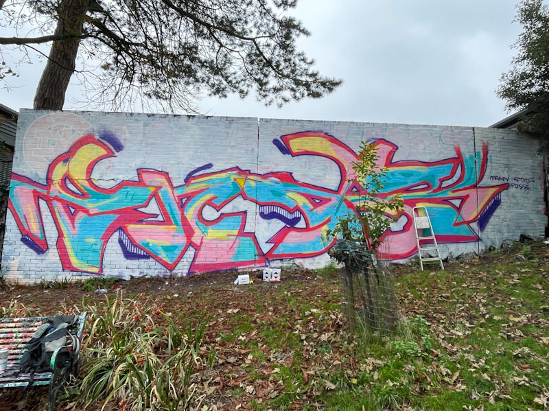 Endz, Montpelier Park, Bristol, November 2024