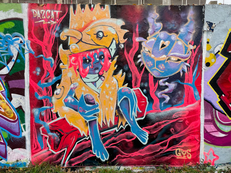 Daz Cat, Greenbank, Bristol, November 2024