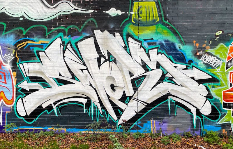 Sworm, Sparke Evans Park, Bristol, November 2024