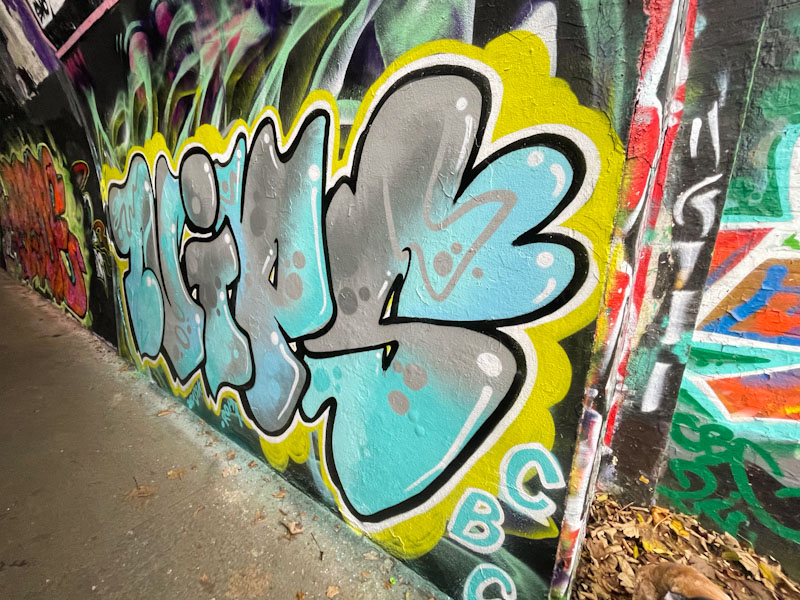 Nips, St Werburghs, Bristol, November 2024