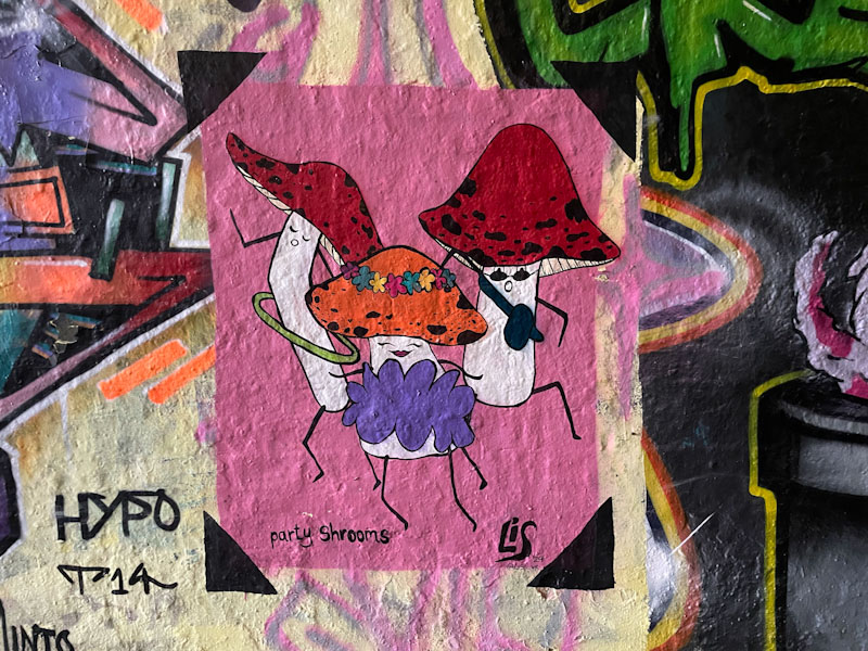 Lis (Le Imposter Design), St Werburghs, Bristol, December 2024