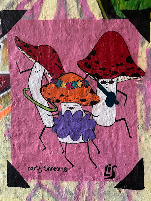 Lis (Le Imposter Design), St Werburghs, Bristol, December 2024