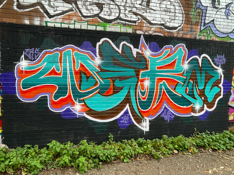 Werm, River Avon, Bristol, December 2024