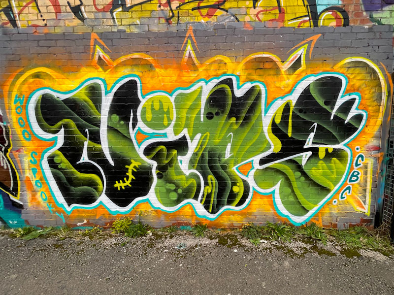 Nips, River Avon, Bristol, December 2024